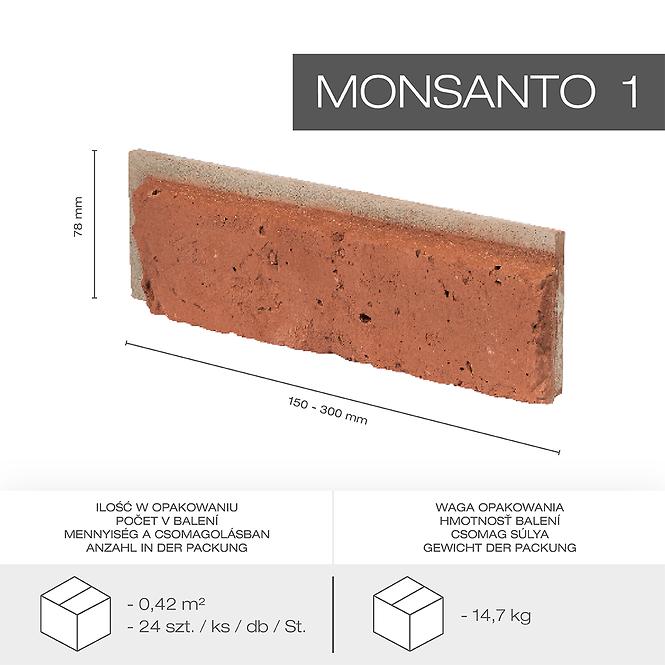 Kámen Monsanto 1