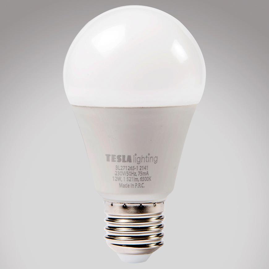 LED žárovka Bulb 12W E27 6500K