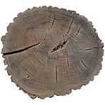 Zahradní nášlap - Kámen stromu  (Betonový)