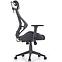 Kancelářská židle Hasel černá/šedá,3