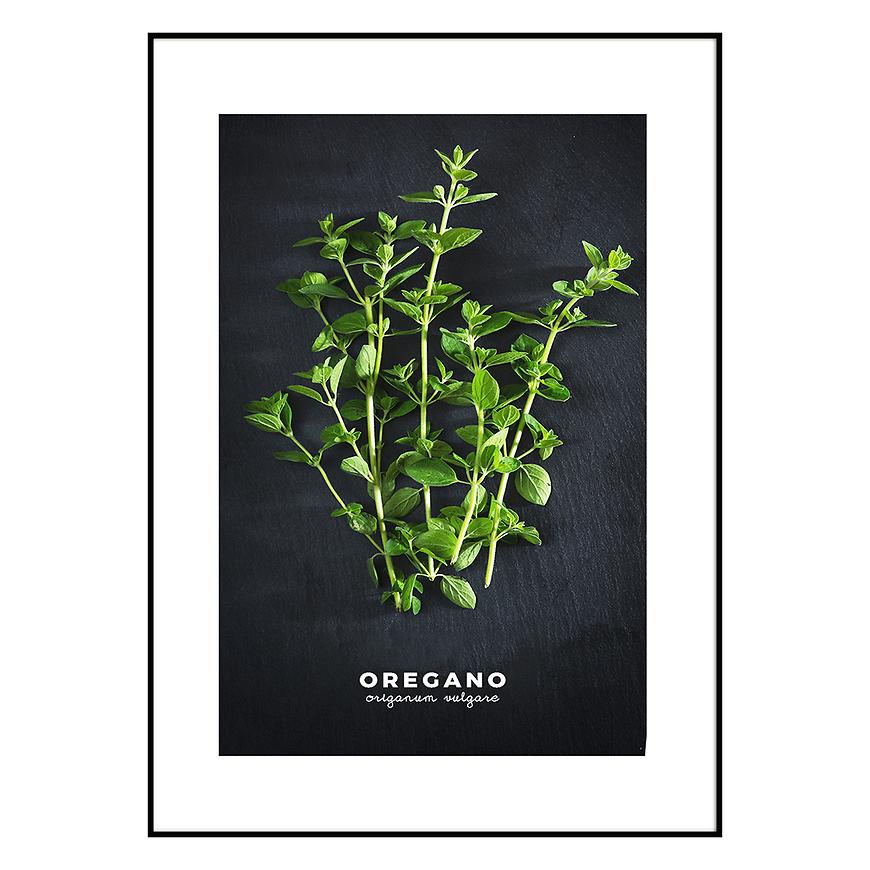 Obraz Artbox 50x70 AB182 Oregano OB-14442