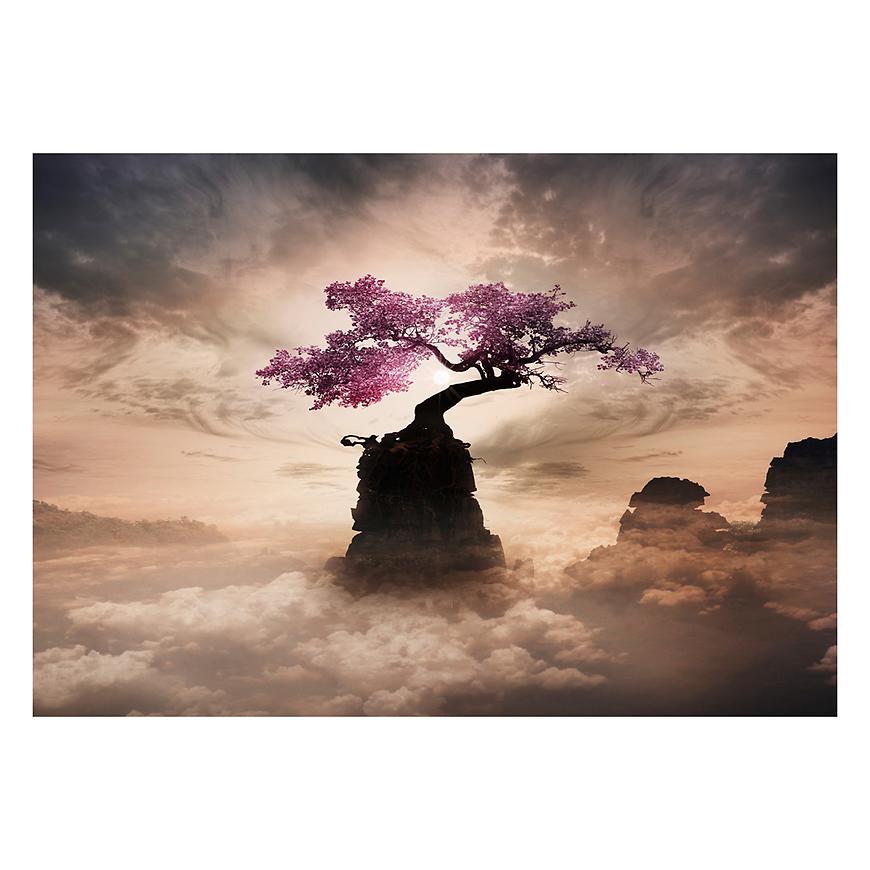 Obraz Canvas 60x80 ST662 Sakura Tree CA-13939