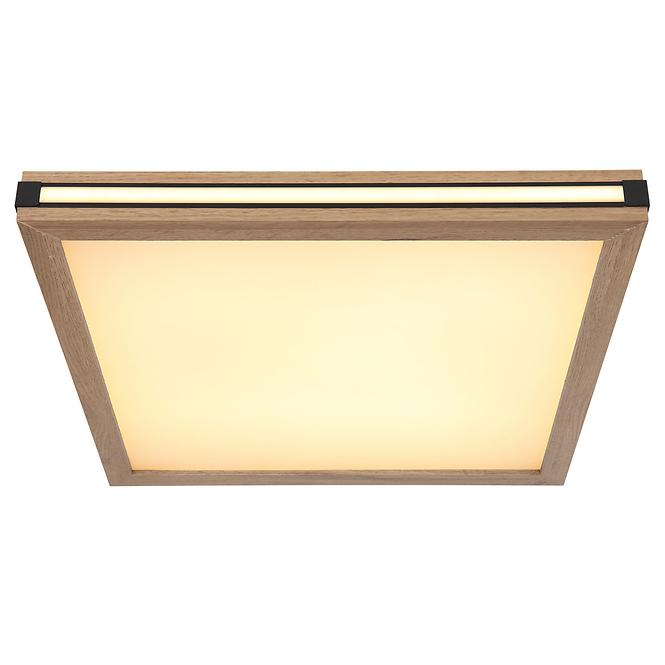 Stropní svítidlo 41589D2 LED  PL1