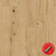 Vinylová podlaha LVT SPC 4mm+1mm IXPE Dub  Shawn X821R