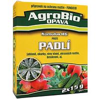 Proti Padlí (KUMULUS)