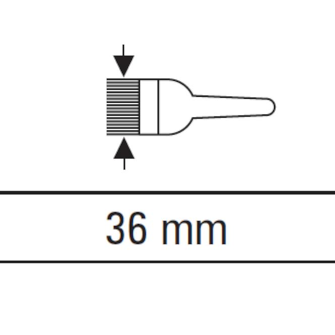 Štětec anglický 36