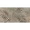 Dlažba Decor Wallpapers Palm Bronze 60/120,2