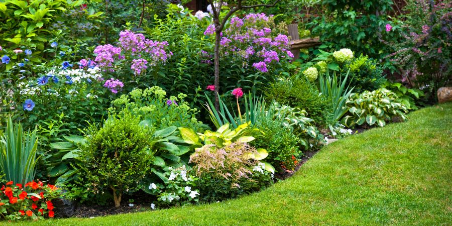 Zahrada s trvalkami – vlastnosti 