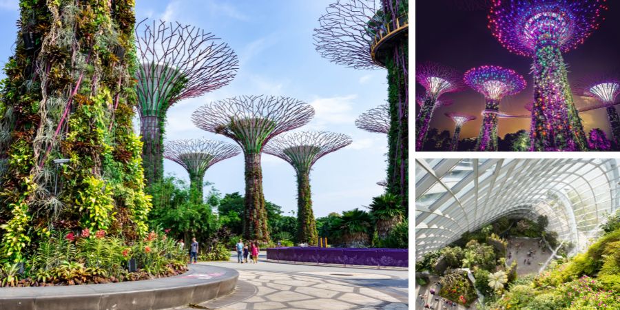 Gardens by the Bay v Singapuru