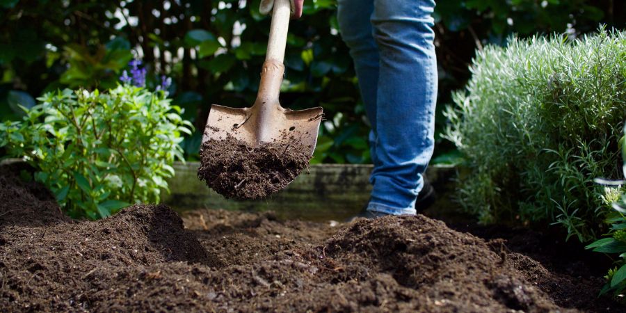 Příprava půdy – postupné posouzení stavu půdy, případně kde začít s jarními prácemi. Jaká půda pro zeleninu a květiny?